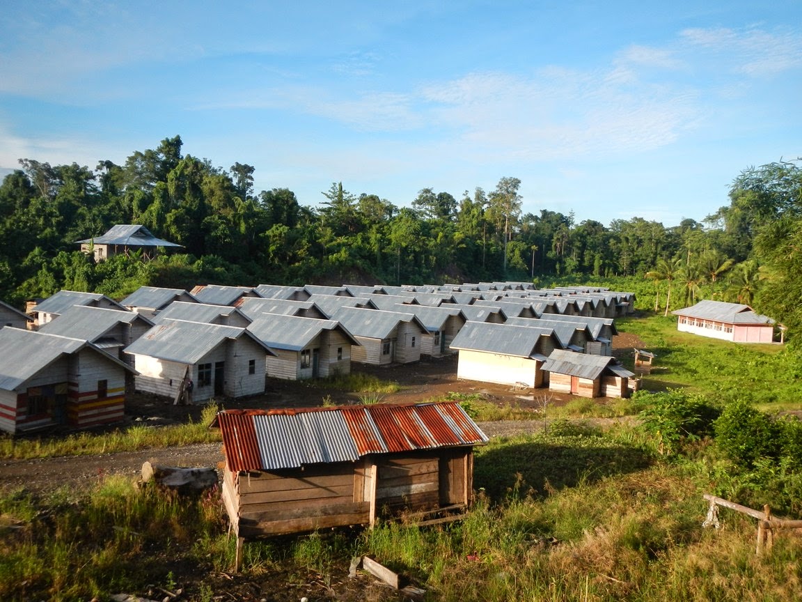 MDN