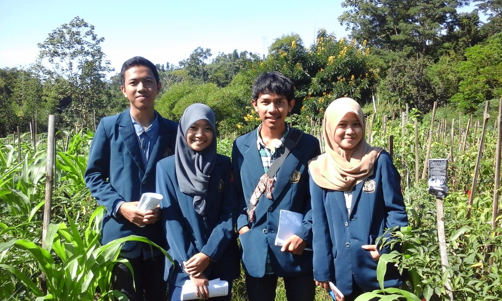 MDN