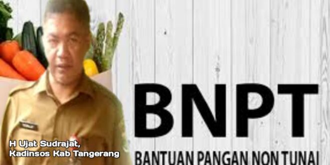 MDN