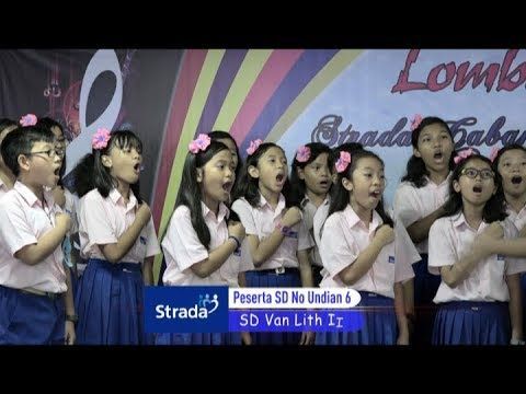 MDN