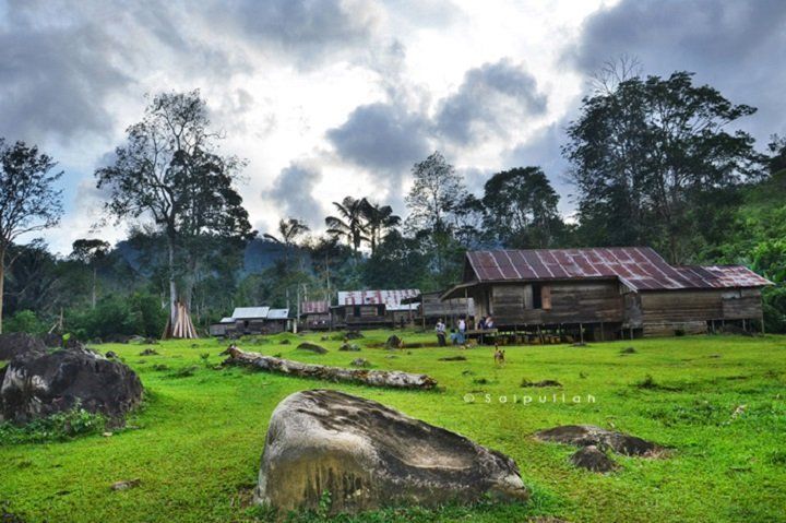 150 Desa Di Kotabaru Kalsel Masuk Kawasan Hutan