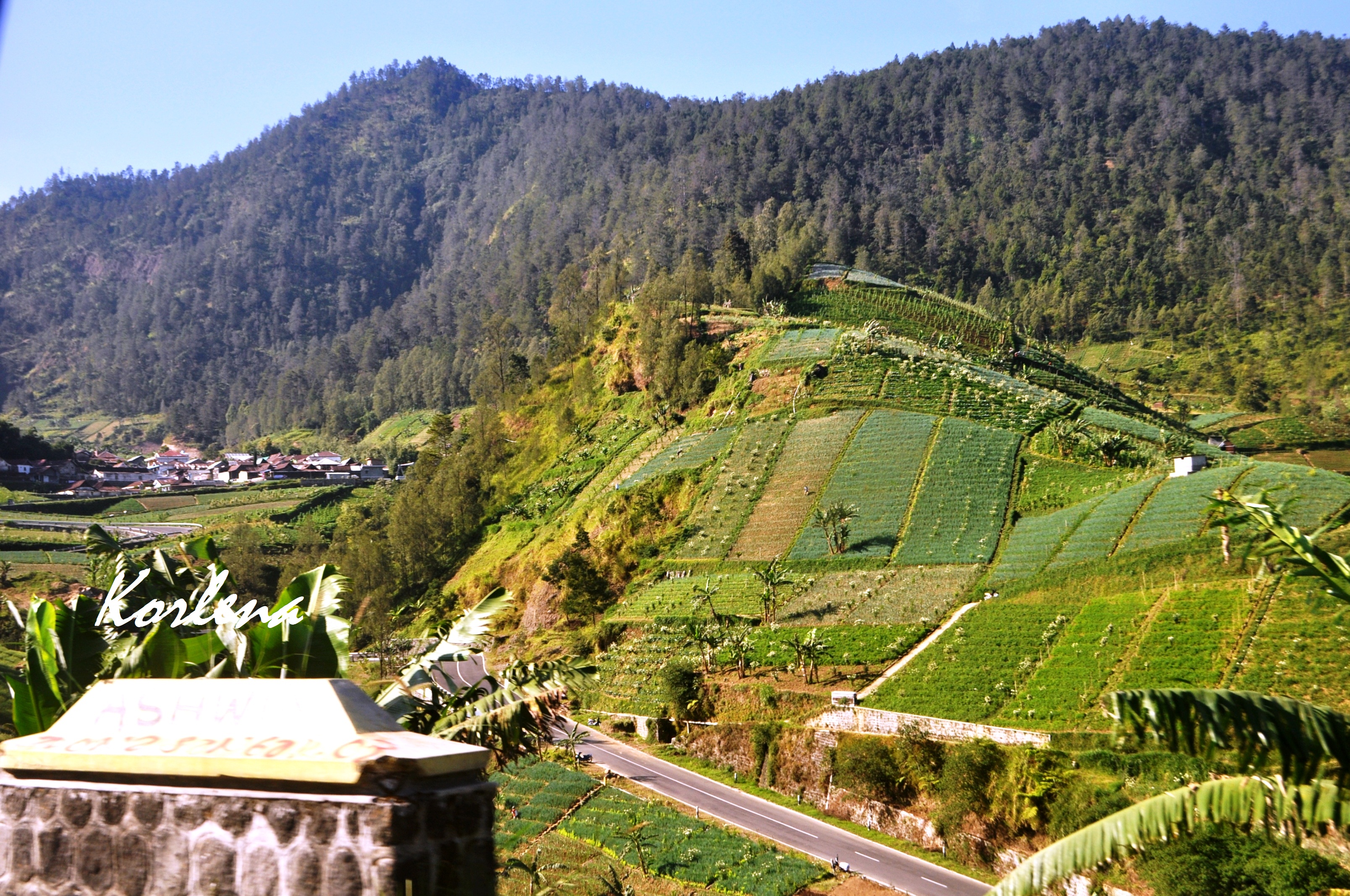 Lereng gunung lawu