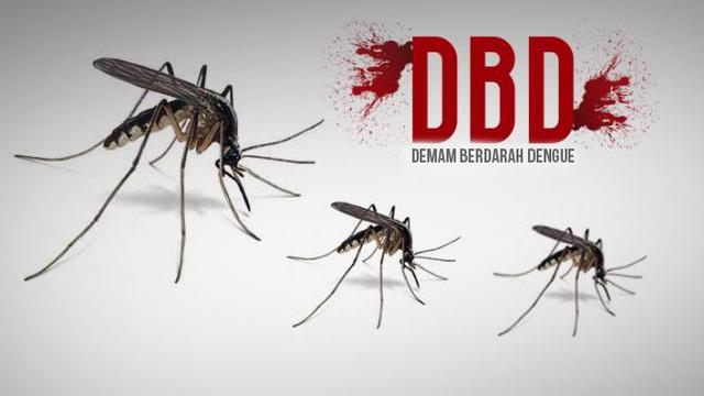 MDN